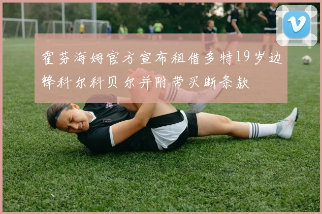 霍芬海姆官方宣布租借多特19岁边锋科尔科贝尔并附带买断条款