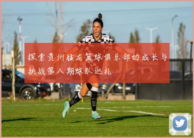 探索贵州猛龙篮球俱乐部的成长与挑战第八期球队巡礼