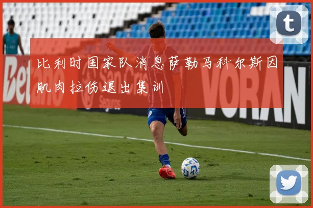 比利时国家队消息萨勒马科尔斯因肌肉拉伤退出集训